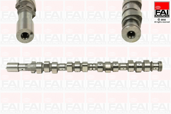Camshaft (C321)