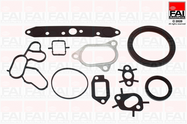 Gasket Kit, crankcase (CS1321)