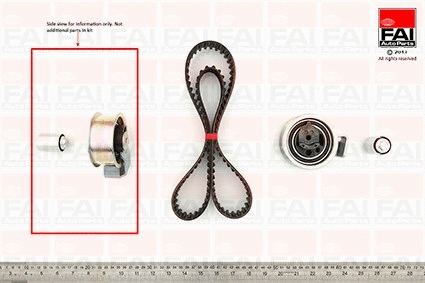 Timing Belt Kit (TBK161)