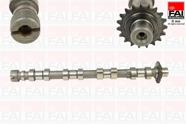 Camshaft (C363)