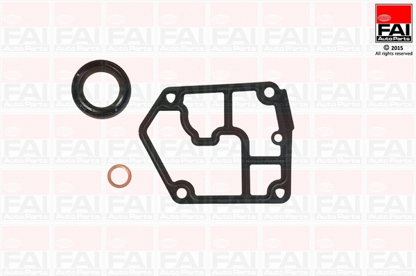 Gasket Kit, crankcase (CS1029)