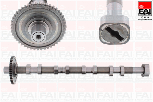 Camshaft (C389)