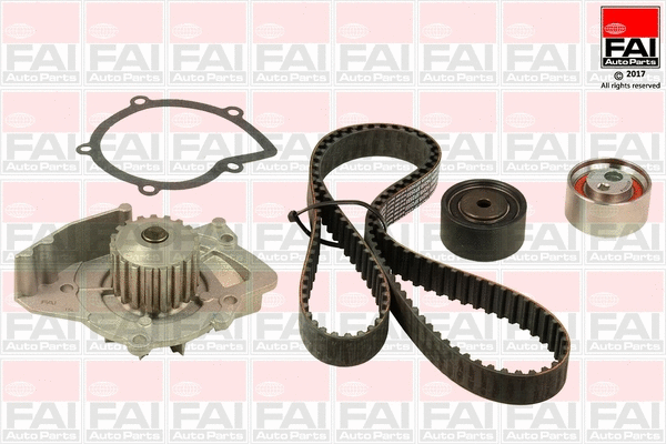 Water Pump & Timing Belt Kit (TBK480-6310)