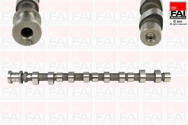 Camshaft (C289)
