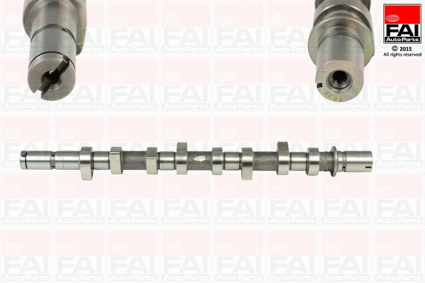 Camshaft (C253)