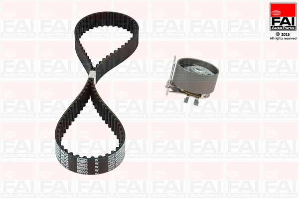 Timing Belt Kit (TBK381)