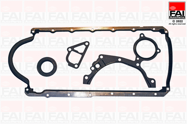 Gasket Kit, crankcase (CS1154)