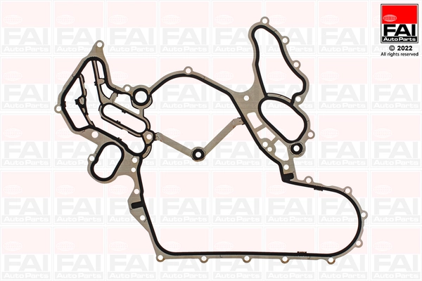 Gasket, timing case (TC1697)