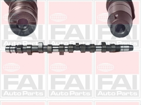 Camshaft (C231)