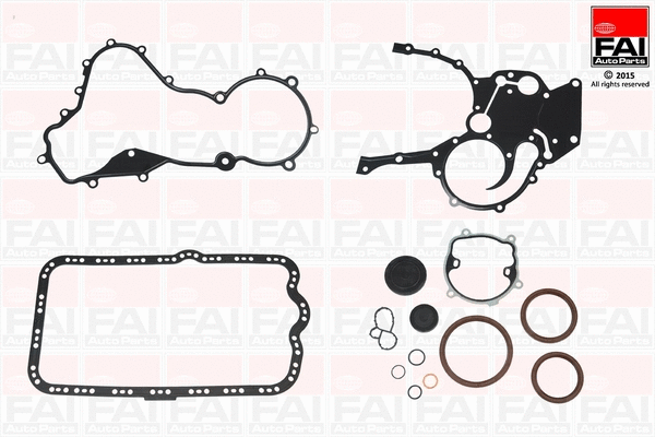 Gasket Kit, crankcase (CS896)