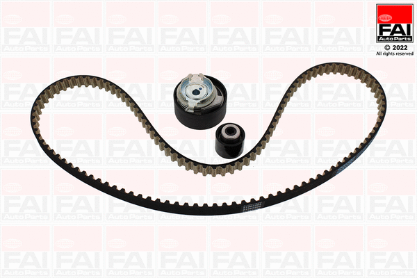 Timing Belt Kit (TBK565)