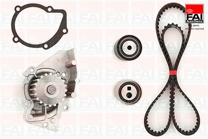 Water Pump & Timing Belt Kit (TBK111-6242)