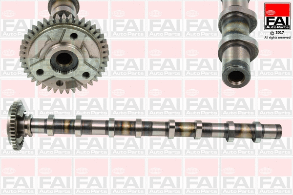 Camshaft (C381)