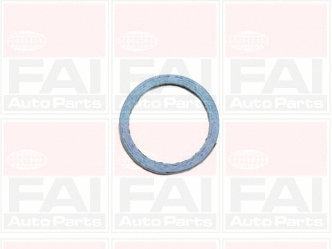 Gasket, exhaust pipe (DP325)