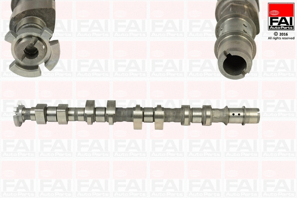 Camshaft (C366)