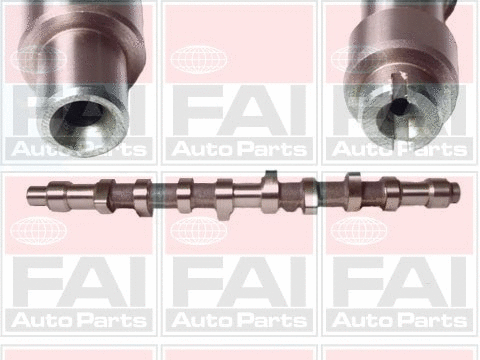 Camshaft (C155)