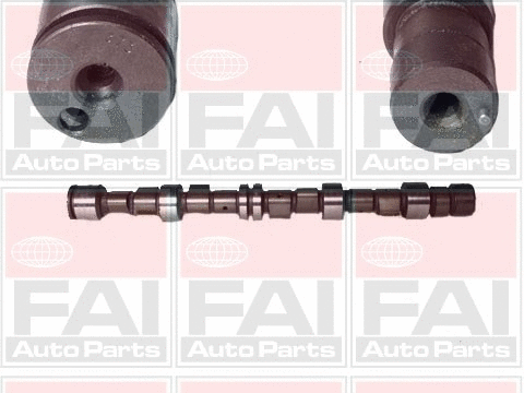 Camshaft (C189)