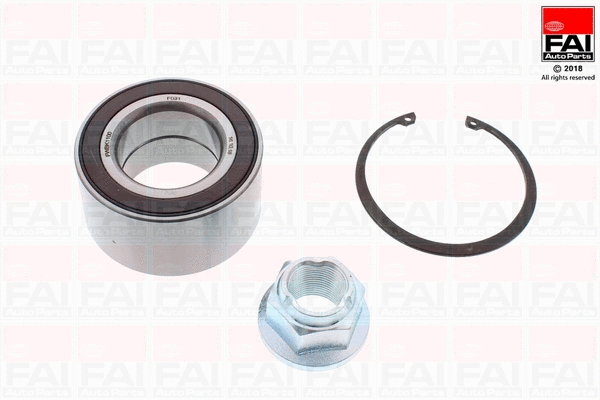 Wheel Bearing Kit (FWBK1100)