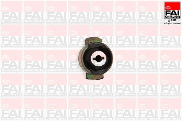 Bushing, axle beam (SS5248)
