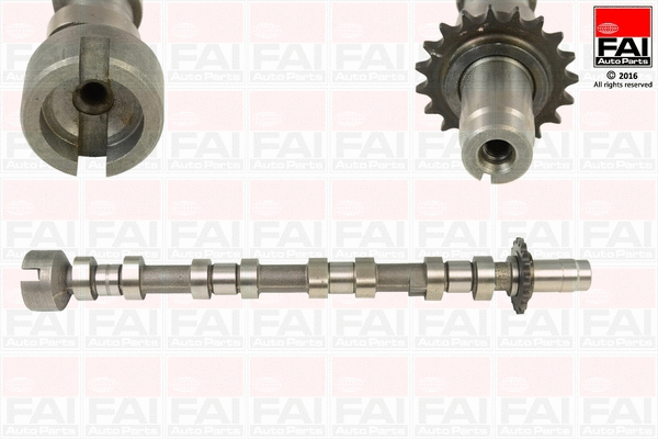 Camshaft (C364)