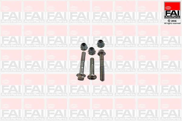 Fastening Bolt, control arm (SS9250BK)