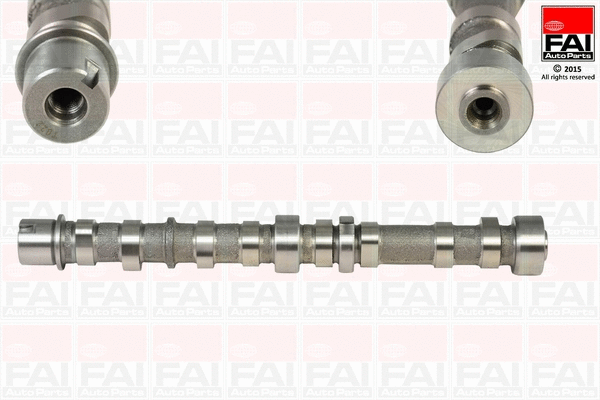 Camshaft (C254)