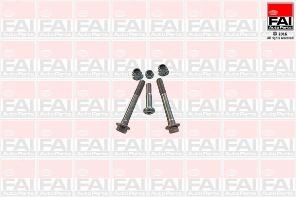 Fastening Bolt, control arm (SS9251BK)