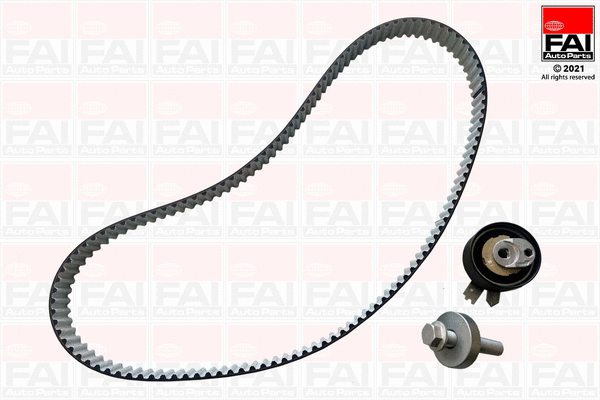Timing Belt Kit (TBK546)