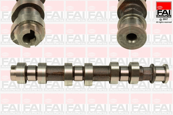 Camshaft (C318)