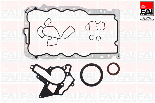 Gasket Kit, crankcase (CS1367)