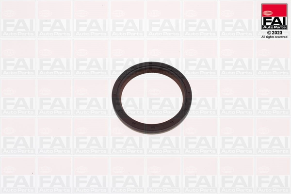 Shaft Seal, crankshaft (OS1048)