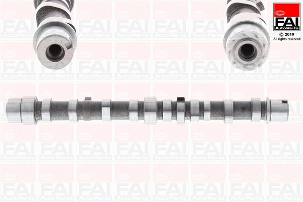 Camshaft (C406)
