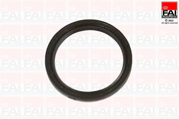 Shaft Seal, crankshaft (OS801)