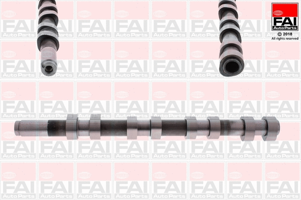 Camshaft (C275)