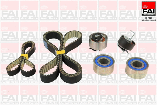 Timing Belt Kit (TBK542)