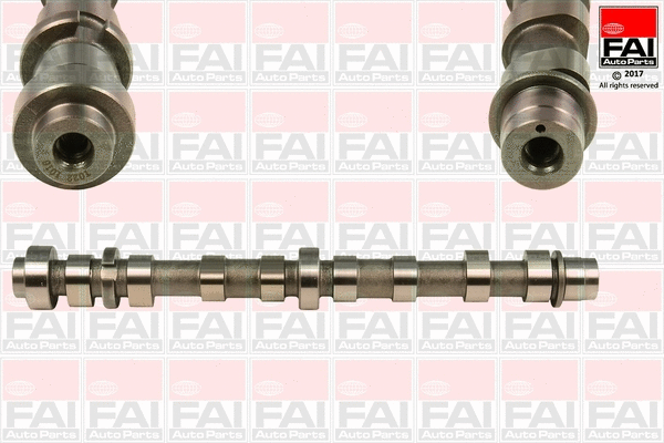 Camshaft (C358)