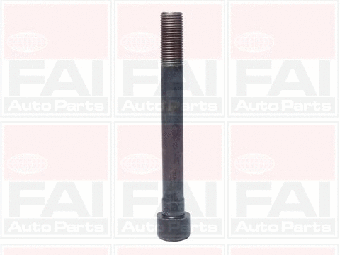 Cylinder Head Bolt Set (B1046)
