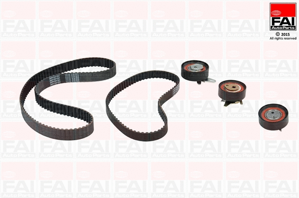 Timing Belt Kit (TBK329)