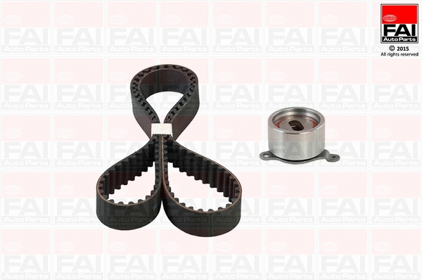 Timing Belt Kit (TBK500)
