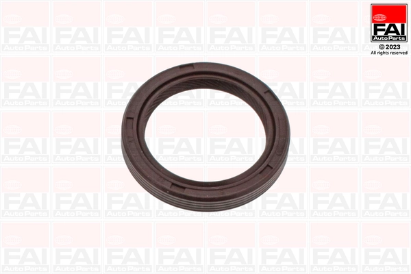 Shaft Seal, crankshaft (OS1053)
