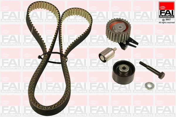 Timing Belt Kit (TBK545)