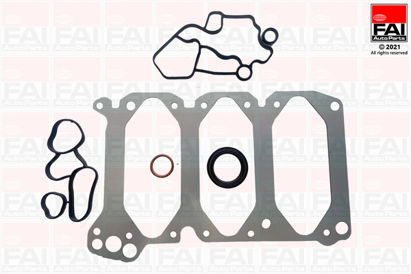 Gasket Kit, crankcase (CS1603)
