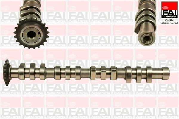 Camshaft (C377)