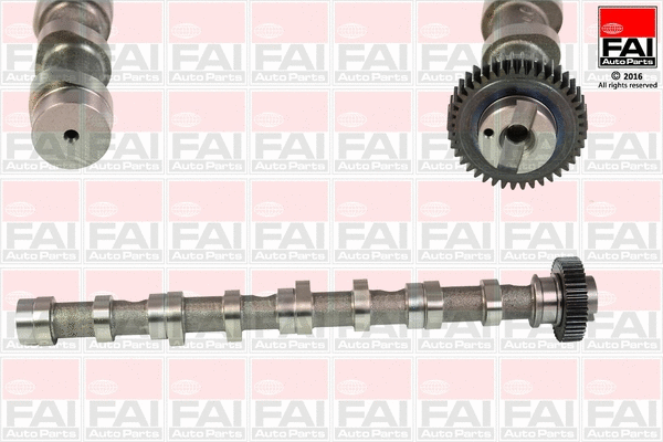 Camshaft (C347)