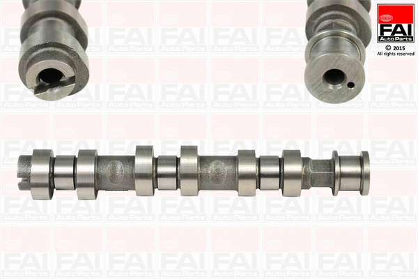 Camshaft (C319)