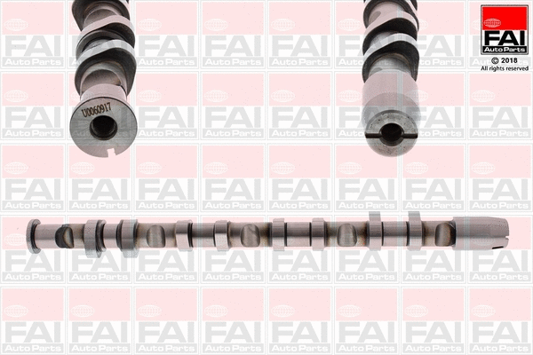 Camshaft (C380)
