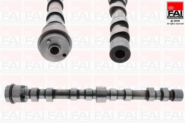 Camshaft (C391)