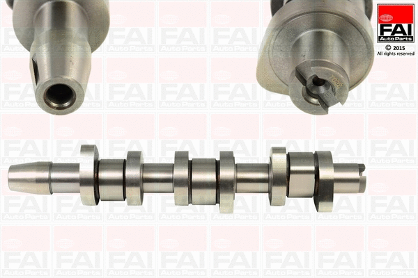 Camshaft (C313)