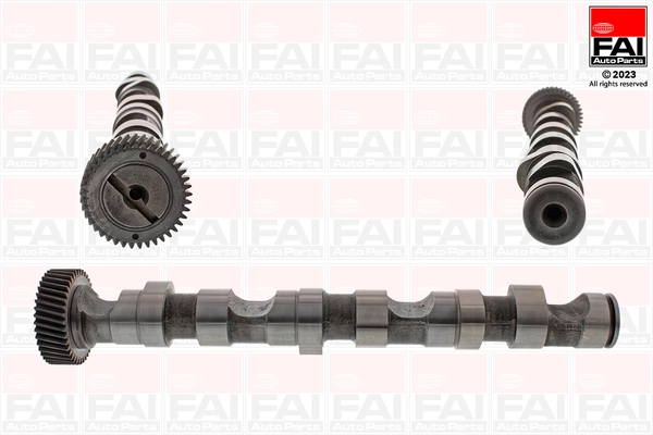Camshaft (C246)