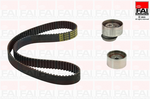 Timing Belt Kit (TBK311)